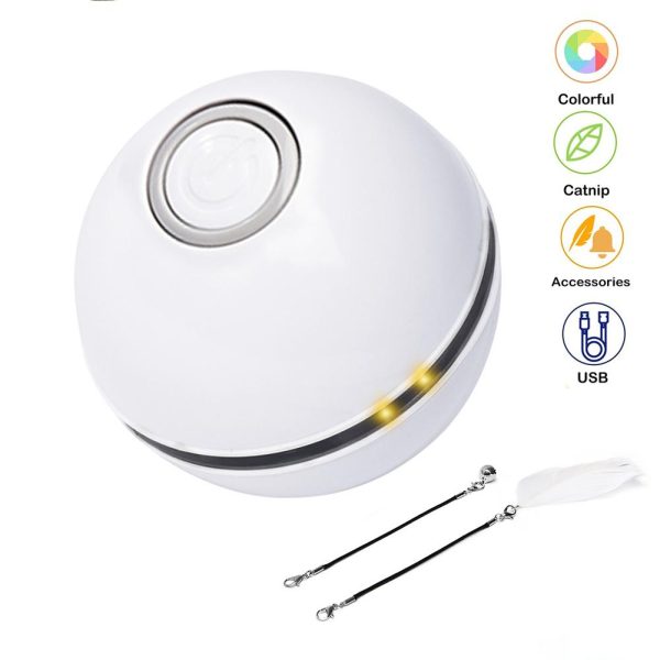 Best Remote Control Cat Dog Bounce Ball Colorful LED Self Rotating Ball