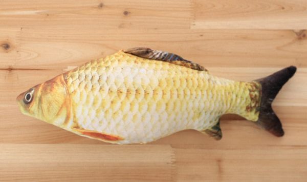 Plush creative 3D fish-shaped  toy catnip